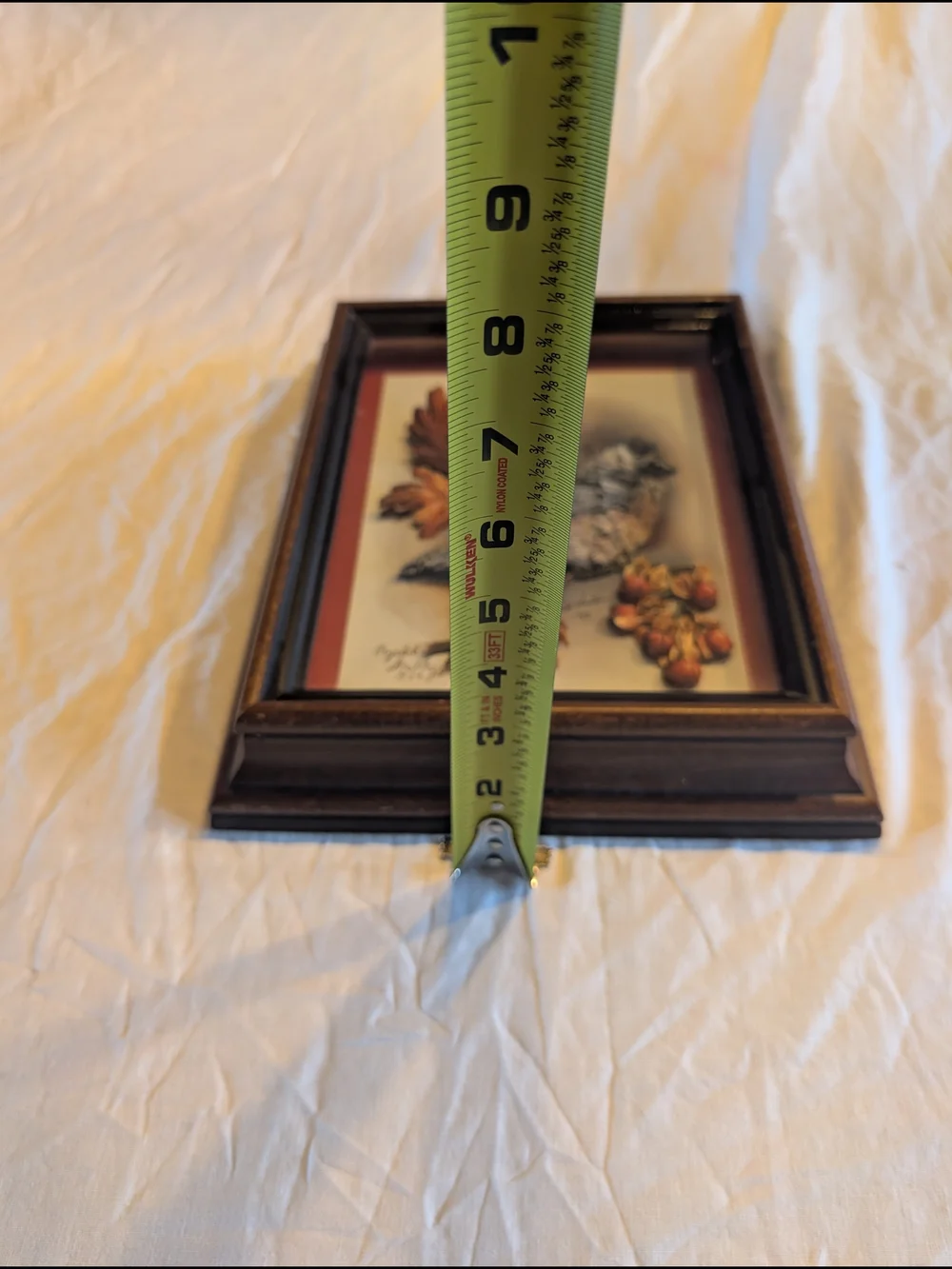 2/40$ Vintage Brown and Maroon Framed 3D Bird Wall Art - Picture 7 of 7
